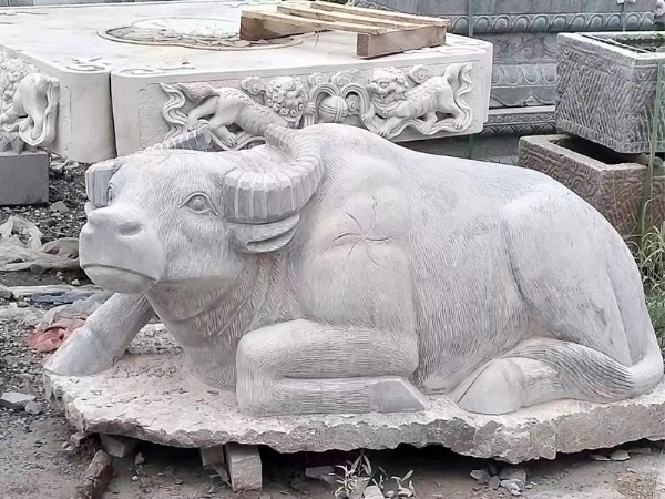 動物系列